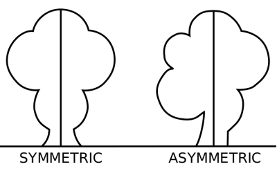 asymmetrical visual art illustration