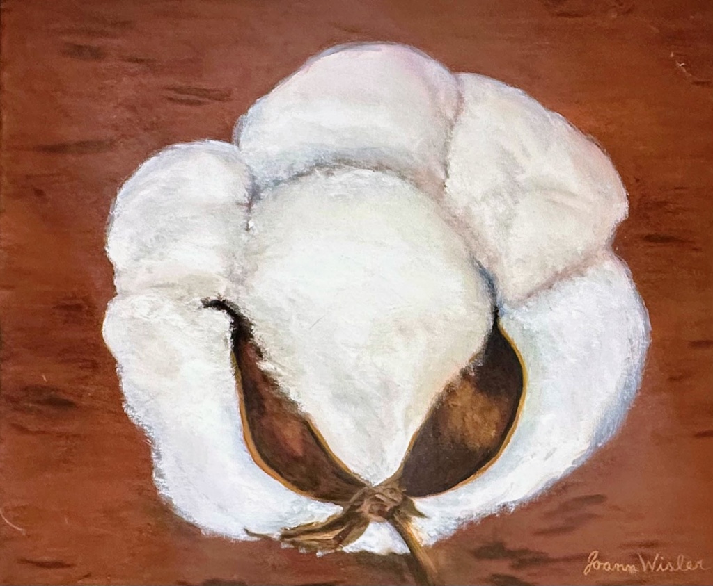A0524 - Cotton Boll by Joann Wisler oil on canvas 24” x 30”