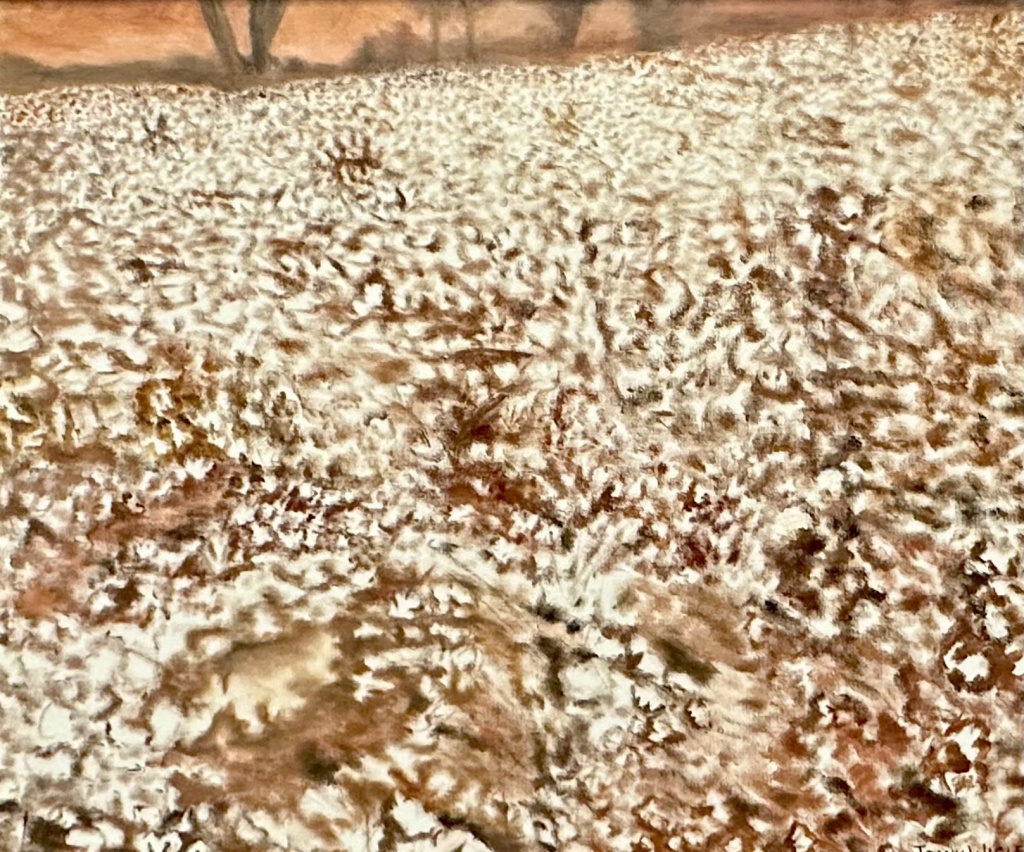A0525 - A Sea of Cotton by Joann Wisler oil on canvas 28” x 21”